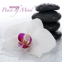 Meditation Music - Meditation - Peaceful Music Orchestra