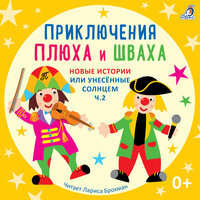 Зазеркальная история (История 43) - Лариса Брохман & Клоун Плюх
