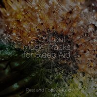 In Dreams - The Sleep Helpers & deep sleep music collective & Relajacion Del Mar