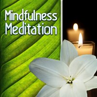 Open Your Mind - Deep Meditation Music System