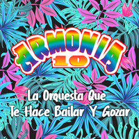 Amor de Mis Amores / Dos Cosas/ Siempre He de Adorarte / Palo para el Amor - Armonia 10