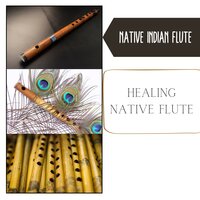 Dancing Wind - Native Indian Flute