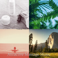Background for 1 Hour Spa - Attractive Massage Music