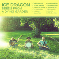 To Everything That Was - Ice Dragon