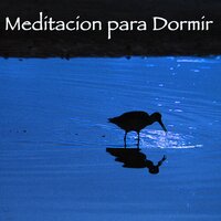 Prenatal Yoga (Niños en el Vientre Materno) - Musica de Relajación Academy