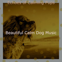 Vibrant Moods for Walking Doggies - Beautiful Calm Dog Music