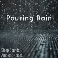 Pouring Rain Sounds, Pt. 37 - Sleep Sounds Ambient Noises & Rain Sounds