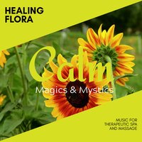 Yoga in Forest Hut - Meditation Atmospheres & Power Yoga Nature Sounds