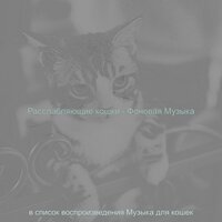 Созерцая (Одинокие кошки) - Музыка для кошек