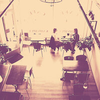 Distinguished Backdrops for Indoor Dining - The Jazz Shop