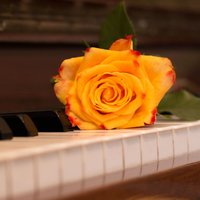 Blind - Piano for Studying