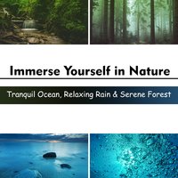 Falling Drops on the Rocks - Relaxation Zone