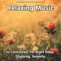 Relaxing Music Pt. 18 - Relaxing Music by Marlon Sallow & Yoga & Relaxing Spa Music