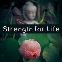 Music to Relax - Academy of Powerful Music with Positive Energy