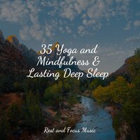 Trance - Serenity Spa Music Relaxation & Meditation Awareness & Massage Music