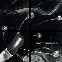 Plight (The Spiralling Of Winter Ghosts) Detail - David Sylvian