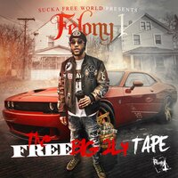 FTP - Felony 1