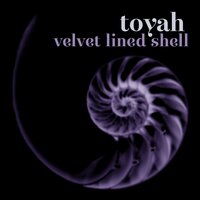 Little Tears of Love - Toyah