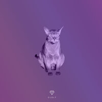 Simple - Sarah Meow