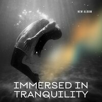 Immersed Harmony - Dhyana Zone