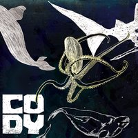 Mirror - Cody