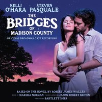 Wondering - Steven Pasquale