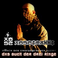 Absztrakkt & zynisch - Absztrakkt