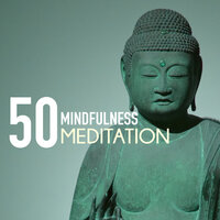 Follow the Path - Mindfulness Meditations
