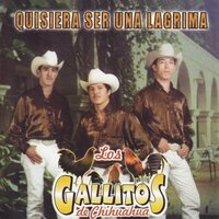 Mujer Sin Nombre - Los Gallitos De Chihuahua