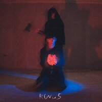 Я смог тебе только спеть - Rinus