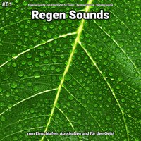 Regen Sounds, pt. 78 - Regengeräusche zum Einschlafen für Kinder & Regengeräusche & Naturgeräusche
