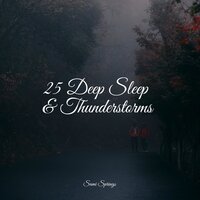 Rainy, Stormy Night - White Noise Sound Garden & Classical New Age Piano Music & Calm Down