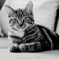 Memories (Cats) - Music for Cats Curation