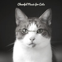 Carefree (Cute Kittens) - Cheerful Music for Cats