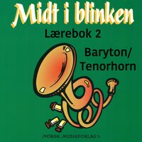 Tin Roof Blues - Stein Ivar Mortensen & Elisabet Vannebo