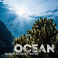 Refined Sea - Ocean Sounds Plus & Ocean Sounds & Ocean Therapy