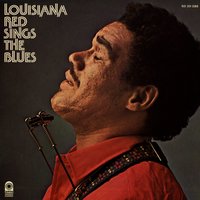 Rollin' Stone - Louisiana Red