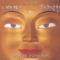 Sounds of the Silence Within - Marcus Viana