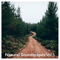 Mystic Stones - Sonic World Orchestra