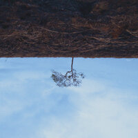 Expectancy - Oleg Byonic