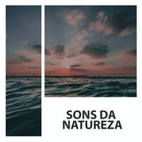 Sonidos Del Oceano Para Dormir - Sons da Natureza - Medicina Relaxante & Sons da Natureza 360 & Ruido Blanco