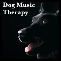 Music Therapy For Dogs - Diggity Dog Pet Music
