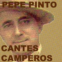 Sones Catalanes - Pepe Pinto