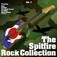 Thick N Thin - The Spitfire Rock Collection & The Black Crowes