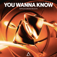 You Wanna Know - NVPVLM & Wicked Selecta