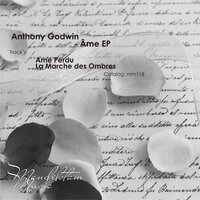 Ame - Anthony Godwin