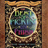 Silent In The Morning - Pickin' On Series
