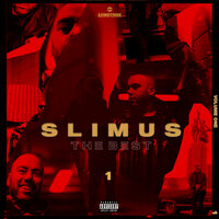 Шум - SLIMUS