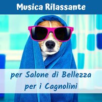 Stimolare la mente degli animali - Asiatico Zen Spa