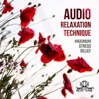 Present Moment - Meditation Music Zone